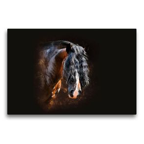 Premium Textil-Leinwand 75 x 50 cm Quer-Format Shirehorse Luis | Wandbild, HD-Bild auf Keilrahmen, Fertigbild auf hochwertigem Vlies, Leinwanddruck von Nicole Bleck