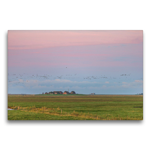 Premium Textil-Leinwand 75 x 50 cm Quer-Format Sonnenaufgang auf der Hallig Langeneß | Wandbild, HD-Bild auf Keilrahmen, Fertigbild auf hochwertigem Vlies, Leinwanddruck von Annett Mirsberger