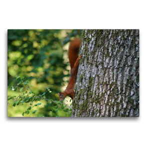 Premium Textil-Leinwand 75 x 50 cm Quer-Format Steiler Abgang | Wandbild, HD-Bild auf Keilrahmen, Fertigbild auf hochwertigem Vlies, Leinwanddruck von kattobello