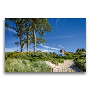 Premium Textil-Leinwand 75 x 50 cm Quer-Format Strand in Ahrenshoop (Mecklenburg-Vorpommern) | Wandbild, HD-Bild auf Keilrahmen, Fertigbild auf hochwertigem Vlies, Leinwanddruck von Christian Müringer