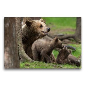 Premium Textil-Leinwand 75 x 50 cm Quer-Format Tierbabys | Wandbild, HD-Bild auf Keilrahmen, Fertigbild auf hochwertigem Vlies, Leinwanddruck von Johann Schörkhuber