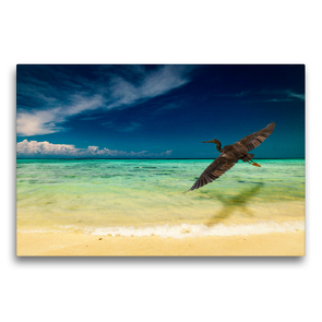 Premium Textil-Leinwand 75 x 50 cm Quer-Format Traumstrand auf Mantanani Island, Borneo. | Wandbild, HD-Bild auf Keilrahmen, Fertigbild auf hochwertigem Vlies, Leinwanddruck von Arne Wünsche