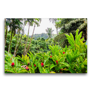 Premium Textil-Leinwand 75 x 50 cm Quer-Format Urwaldfeeling im Botanischen Garten Hoʻomaluhia | Wandbild, HD-Bild auf Keilrahmen, Fertigbild auf hochwertigem Vlies, Leinwanddruck von Christian Müller