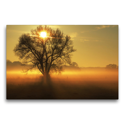 Premium Textil-Leinwand 75 x 50 cm Quer-Format Winterträume im Gegenlicht | Wandbild, HD-Bild auf Keilrahmen, Fertigbild auf hochwertigem Vlies, Leinwanddruck von N N