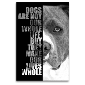 Premium Textil-Leinwand 80 x 120 cm Hoch-Format American Staffordshire Terrier | Wandbild, HD-Bild auf Keilrahmen, Fertigbild auf hochwertigem Vlies, Leinwanddruck von Wilsigns.com – Nicole Hahn