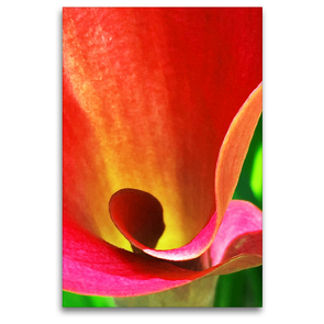 Premium Textil-Leinwand 80 x 120 cm Hoch-Format Calla / Blütenzauber | Wandbild, HD-Bild auf Keilrahmen, Fertigbild auf hochwertigem Vlies, Leinwanddruck von photografie-iam.ch