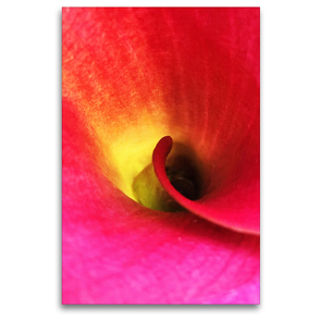 Premium Textil-Leinwand 80 x 120 cm Hoch-Format Farbenträume / Calla | Wandbild, HD-Bild auf Keilrahmen, Fertigbild auf hochwertigem Vlies, Leinwanddruck von photografie-iam.ch