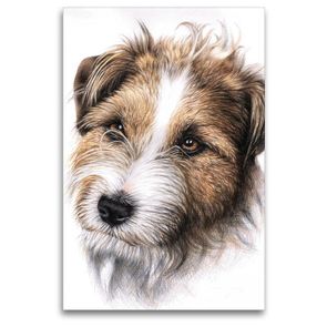 Premium Textil-Leinwand 80 x 120 cm Hoch-Format Jack Russell Terrier | Wandbild, HD-Bild auf Keilrahmen, Fertigbild auf hochwertigem Vlies, Leinwanddruck von Nicole Zeug