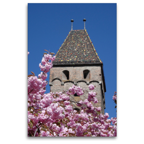 Premium Textil-Leinwand 80 x 120 cm Hoch-Format Metzgerturm hinter Kirschblüte | Wandbild, HD-Bild auf Keilrahmen, Fertigbild auf hochwertigem Vlies, Leinwanddruck von kattobello