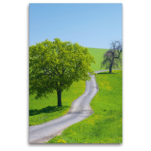 Premium Textil-Leinwand 80 x 120 cm Hoch-Format Wiesenweg durch weite Landschaft | Wandbild, HD-Bild auf Keilrahmen, Fertigbild auf hochwertigem Vlies, Leinwanddruck von Gabriele Hanke