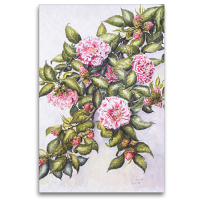 Premium Textil-Leinwand 80 x 120 cm Hoch-Format Wilhelma/Stuttgart: Camelia Japonica Nr. 27 (Lavinia Maggi) | Wandbild, HD-Bild auf Keilrahmen, Fertigbild auf hochwertigem Vlies, Leinwanddruck von Annemarie Meindl