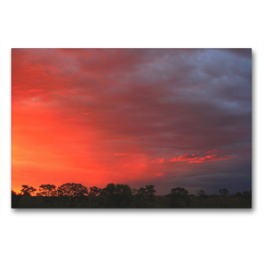 Premium Textil-Leinwand 90 x 60 cm Quer-Format Abendstimmung nahe der Etosha-Pfanne, Namibia | Wandbild, HD-Bild auf Keilrahmen, Fertigbild auf hochwertigem Vlies, Leinwanddruck von Dr. Werner Altner