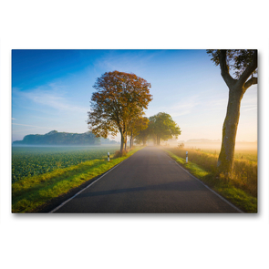 Premium Textil-Leinwand 90 x 60 cm Quer-Format Allee auf Rügen | Wandbild, HD-Bild auf Keilrahmen, Fertigbild auf hochwertigem Vlies, Leinwanddruck von Martin Wasilewski