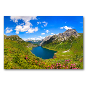 Premium Textil-Leinwand 90 x 60 cm Quer-Format Almrauschblüte oberhalb der Tappenkarseehütte | Wandbild, HD-Bild auf Keilrahmen, Fertigbild auf hochwertigem Vlies, Leinwanddruck von Christa Kramer