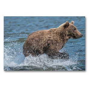 Premium Textil-Leinwand 90 x 60 cm Quer-Format Auf ins Wasser, der Lachsrun hat begonnen! | Wandbild, HD-Bild auf Keilrahmen, Fertigbild auf hochwertigem Vlies, Leinwanddruck von Photo4emotion.com