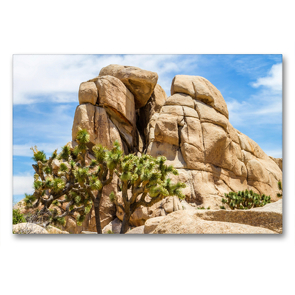 Premium Textil-Leinwand 90 x 60 cm Quer-Format Beeindruckender Joshua Tree National Park | Wandbild, HD-Bild auf Keilrahmen, Fertigbild auf hochwertigem Vlies, Leinwanddruck von Melanie Viola