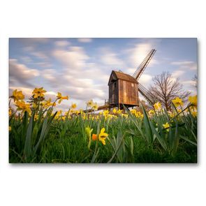 Premium Textil-Leinwand 90 x 60 cm Quer-Format Bockwindmühle Victoria Luise in Braunschweig | Wandbild, HD-Bild auf Keilrahmen, Fertigbild auf hochwertigem Vlies, Leinwanddruck von Markus Hörster