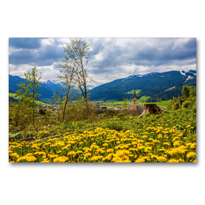 Premium Textil-Leinwand 90 x 60 cm Quer-Format Eine Löwenzahnwiese auf der Kaiserpromenade | Wandbild, HD-Bild auf Keilrahmen, Fertigbild auf hochwertigem Vlies, Leinwanddruck von Christa Kramer