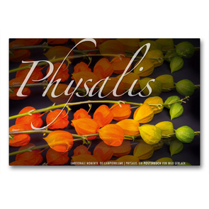 Premium Textil-Leinwand 90 x 60 cm Quer-Format Emotionale Momente: Physalis. | Wandbild, HD-Bild auf Keilrahmen, Fertigbild auf hochwertigem Vlies, Leinwanddruck von Ingo Gerlach