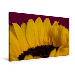 Premium Textil-Leinwand 90 x 60 cm Quer-Format Flower-Power | Wandbild, HD-Bild auf Keilrahmen, Fertigbild auf hochwertigem Vlies, Leinwanddruck von Andreas Levi – PHOTOmedia++ von Levi - PHOTOmedia++,  Andreas