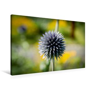 Premium Textil-Leinwand 90 x 60 cm Quer-Format Flower-Power | Wandbild, HD-Bild auf Keilrahmen, Fertigbild auf hochwertigem Vlies, Leinwanddruck von Andreas Levi – PHOTOmedia++ von Levi - PHOTOmedia++,  Andreas