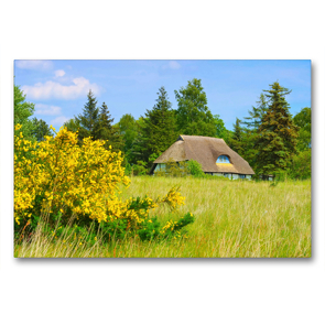 Premium Textil-Leinwand 90 x 60 cm Quer-Format Frühling in Freesenort | Wandbild, HD-Bild auf Keilrahmen, Fertigbild auf hochwertigem Vlies, Leinwanddruck von LianeM