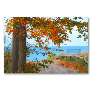 Premium Textil-Leinwand 90 x 60 cm Quer-Format Herbst auf der Halbinsel Fischland-Darss-Zingst | Wandbild, HD-Bild auf Keilrahmen, Fertigbild auf hochwertigem Vlies, Leinwanddruck von Claudia Schimmack