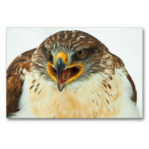 Premium Textil-Leinwand 90 x 60 cm Quer-Format Koenigsraufussbussard – Buteo regalis | Wandbild, HD-Bild auf Keilrahmen, Fertigbild auf hochwertigem Vlies, Leinwanddruck von Dirk Grasse