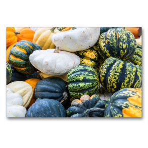 Premium Textil-Leinwand 90 x 60 cm Quer-Format Kurbis Sorten Patisson, Sweet Dumpling, Accorn und Halloween | Wandbild, HD-Bild auf Keilrahmen, Fertigbild auf hochwertigem Vlies, Leinwanddruck von Dieter Meyer