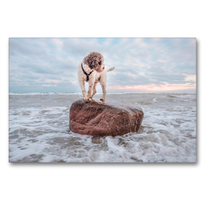 Premium Textil-Leinwand 90 x 60 cm Quer-Format Lagotto Romagnolo Freiheitsstatue an der Ostsee | Wandbild, HD-Bild auf Keilrahmen, Fertigbild auf hochwertigem Vlies, Leinwanddruck von Wuffclick-pic