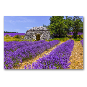 Premium Textil-Leinwand 90 x 60 cm Quer-Format Lavendefeld mit Steinhütte | Wandbild, HD-Bild auf Keilrahmen, Fertigbild auf hochwertigem Vlies, Leinwanddruck von Jürgen Feuerer