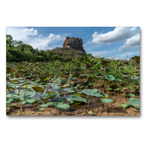 Premium Textil-Leinwand 90 x 60 cm Quer-Format Lotusfeld vor der Felsenfestung Sigiriya | Wandbild, HD-Bild auf Keilrahmen, Fertigbild auf hochwertigem Vlies, Leinwanddruck von Peter Hennrich