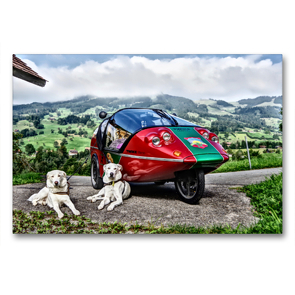 Premium Textil-Leinwand 90 x 60 cm Quer-Format Lucky e-Pioneer Doggies | Wandbild, HD-Bild auf Keilrahmen, Fertigbild auf hochwertigem Vlies, Leinwanddruck von Silvia Brutschin