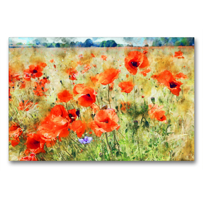 Premium Textil-Leinwand 90 x 60 cm Quer-Format Mohnblumen auf einem Feld. | Wandbild, HD-Bild auf Keilrahmen, Fertigbild auf hochwertigem Vlies, Leinwanddruck von Anja Frost