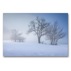 Premium Textil-Leinwand 90 x 60 cm Quer-Format Nebelbäume am Königssee | Wandbild, HD-Bild auf Keilrahmen, Fertigbild auf hochwertigem Vlies, Leinwanddruck von Christian Müringer Premium Textil-Leinwand 90 x 60 cm Quer-Format Nebelbäume am Königssee | Wandbild, HD-Bild auf Keilrahmen, Fertigbild auf hochwertigem Vlies, Leinwanddruck von Christian Müringer