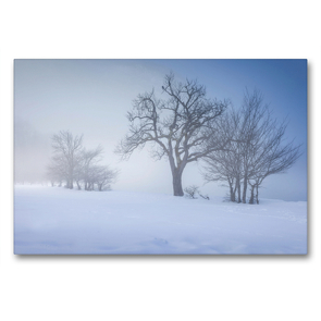 Premium Textil-Leinwand 90 x 60 cm Quer-Format Nebelbäume am Königssee | Wandbild, HD-Bild auf Keilrahmen, Fertigbild auf hochwertigem Vlies, Leinwanddruck von Christian Müringer