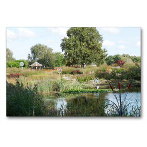 Premium Textil-Leinwand 90 x 60 cm Quer-Format Pensthorpe Natural Park mit Skulpturen von Jenny Pickford, Norfolk, England | Wandbild, HD-Bild auf Keilrahmen, Fertigbild auf hochwertigem Vlies, Leinwanddruck von Gisela Kruse