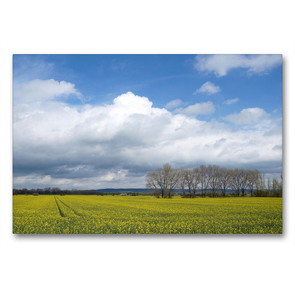 Premium Textil-Leinwand 90 x 60 cm Quer-Format Rapsfelder um Donndorf | Wandbild, HD-Bild auf Keilrahmen, Fertigbild auf hochwertigem Vlies, Leinwanddruck von Flori0