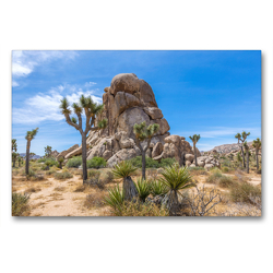 Premium Textil-Leinwand 90 x 60 cm Quer-Format Roadside Rock, Joshua Tree National Park | Wandbild, HD-Bild auf Keilrahmen, Fertigbild auf hochwertigem Vlies, Leinwanddruck von Melanie Viola