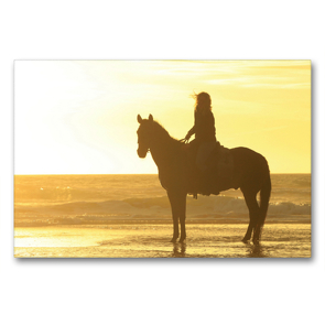 Premium Textil-Leinwand 90 x 60 cm Quer-Format Romantisch … Sonnenuntergang am Strand | Wandbild, HD-Bild auf Keilrahmen, Fertigbild auf hochwertigem Vlies, Leinwanddruck von Petra Eckerl Tierfotografie www.petraeckerl.com