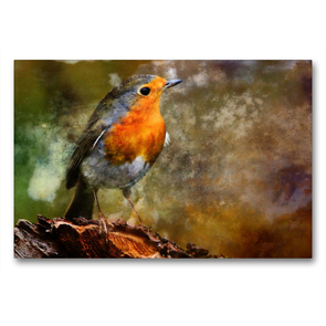 Premium Textil-Leinwand 90 x 60 cm Quer-Format ROTKEHLCHEN | Wandbild, HD-Bild auf Keilrahmen, Fertigbild auf hochwertigem Vlies, Leinwanddruck von Carl-Peter Herbolzheimer