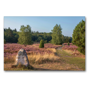 Premium Textil-Leinwand 90 x 60 cm Quer-Format Sehenswertes Naturschutzgebiet Lüneburger Heide | Wandbild, HD-Bild auf Keilrahmen, Fertigbild auf hochwertigem Vlies, Leinwanddruck von Heike Nack