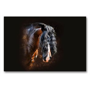 Premium Textil-Leinwand 90 x 60 cm Quer-Format Shirehorse Luis | Wandbild, HD-Bild auf Keilrahmen, Fertigbild auf hochwertigem Vlies, Leinwanddruck von Nicole Bleck