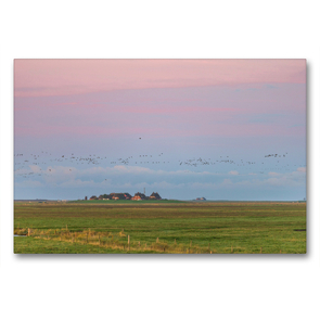 Premium Textil-Leinwand 90 x 60 cm Quer-Format Sonnenaufgang auf der Hallig Langeneß | Wandbild, HD-Bild auf Keilrahmen, Fertigbild auf hochwertigem Vlies, Leinwanddruck von Annett Mirsberger