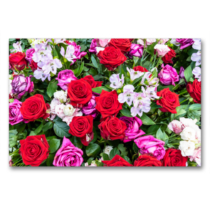 Premium Textil-Leinwand 90 x 60 cm Quer-Format Strauß mit roten und dunkelrosa Rosen mit Freesien | Wandbild, HD-Bild auf Keilrahmen, Fertigbild auf hochwertigem Vlies, Leinwanddruck von Dieter Meyer