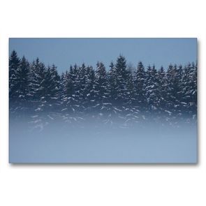 Premium Textil-Leinwand 90 x 60 cm Quer-Format Wald im Nebel | Wandbild, HD-Bild auf Keilrahmen, Fertigbild auf hochwertigem Vlies, Leinwanddruck von kattobello