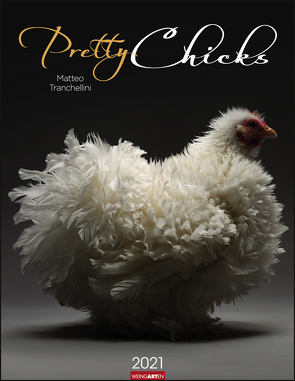 Pretty Chicks Kalender 2021 von Matteo Tranchellini, Weingarten