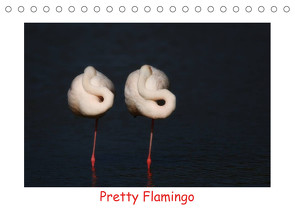 Pretty Flamingo (Tischkalender 2023 DIN A5 quer) von Bogner,  J.R.