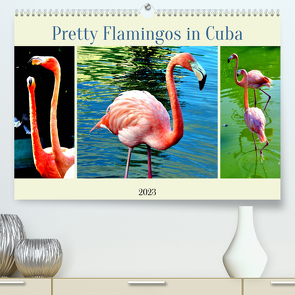 Pretty Flamingos in Cuba (Premium, hochwertiger DIN A2 Wandkalender 2023, Kunstdruck in Hochglanz) von von Loewis of Menar,  Henning
