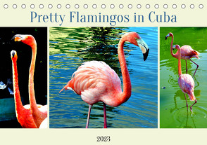 Pretty Flamingos in Cuba (Tischkalender 2023 DIN A5 quer) von von Loewis of Menar,  Henning